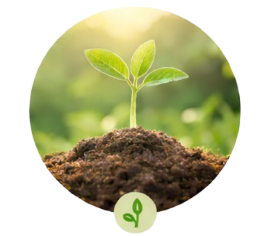 holistica circle corrected 1 removebg preview